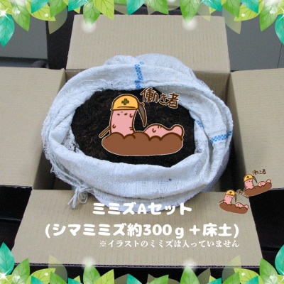 ミミズAセット【配達不可:離島】