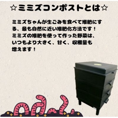 金子みみずちゃんの家特別セット【配達不可:離島】