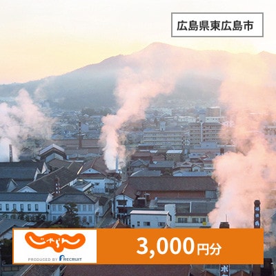 【じゃらんふるさと納税クーポン】 広島県東広島市でつかえる3,000円 クーポン