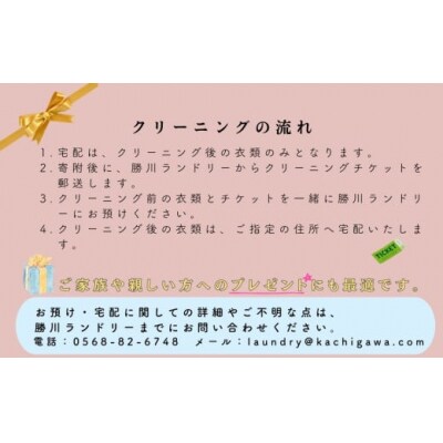 宅配クリーニング　春日井品質(20点コース)