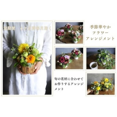 ~定期便~季節華やかフラワーアレンジメント　花　はな　定期便　毎月　季節　6ヶ月　6カ月