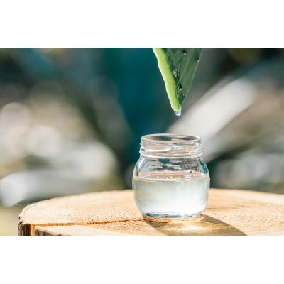 【春日井市産サボテンコスメ】ミルククレンジング洗顔　美容　日用品　メイク落とし　W洗顔不要　うるおい