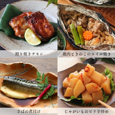 お惣菜おかわりの無添加のお惣菜セット/12種類各1個合計12個のセット　一人暮らし 冷凍 レトルト　