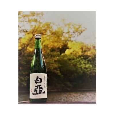 【令和8年新酒】中部大学のお酒「白亞」(日本酒)2本セット/　日本酒　白亜　白亞　大学　研究　お酒　