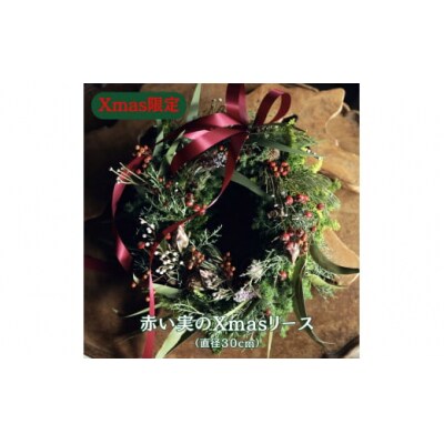 Xmas限定　クリスマスリース Φ30 クリスマス　おしゃれ