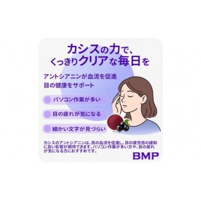 BMP カシスパウダー1kg(100g×10袋)(カシス濃縮果汁粉末)