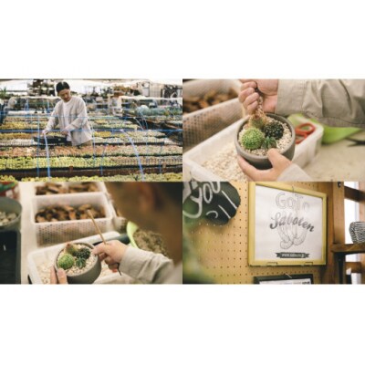 多治見市×春日井市　MINO MAKELAY 三つ足鉢 黒土マーブル×春日井市の名店 後藤サボテン