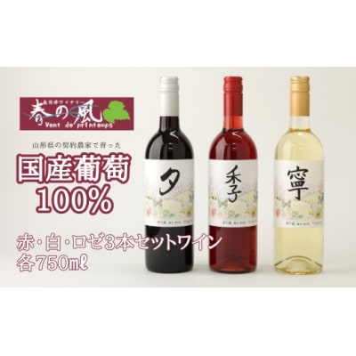 春日井ワイナリ-春の風 赤・白・ロゼ3本セットワイン 各750ml　ワイン　飲み比べ　赤　白　ロゼ　
