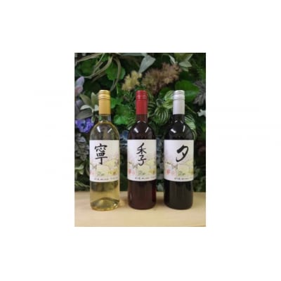 春日井ワイナリ-春の風 赤・白・ロゼ3本セットワイン 各750ml　ワイン　飲み比べ　赤　白　ロゼ　