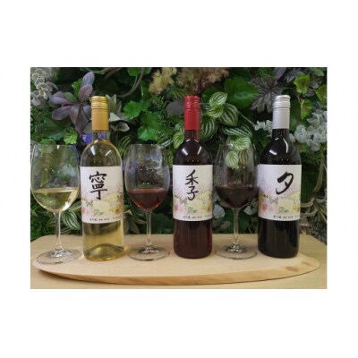 春日井ワイナリ-春の風 赤・白・ロゼ3本セットワイン 各750ml　ワイン　飲み比べ　赤　白　ロゼ　