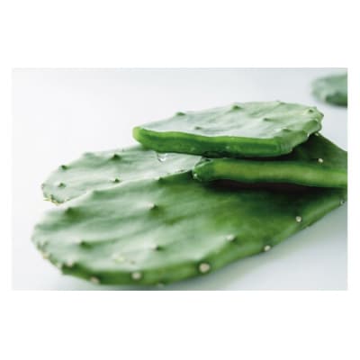 【春日井市産サボテンコスメ】スキンケアセット　スキンケアセット 美容 日用品 コスメ サボテン