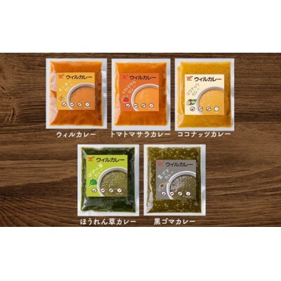 【ウィルカレー】いろどり5種カレー お試しセット　レトルト　湯せん　冷凍　食べ比べ