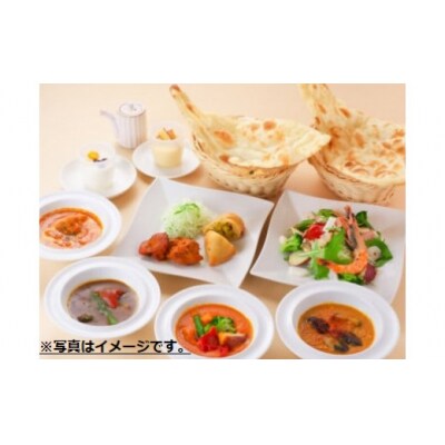 【インド亭】カレー5種&ナン5枚セット 　レトルト　冷凍　食べ比べ　セット　インドカレー　時短　保存