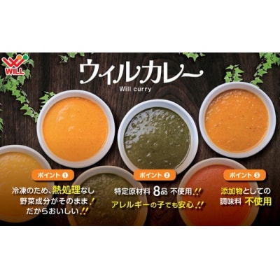 【ウィルカレー】カレー20個入:国産玉ねぎの定番カレー　レトルト　冷凍　　時短　保存
