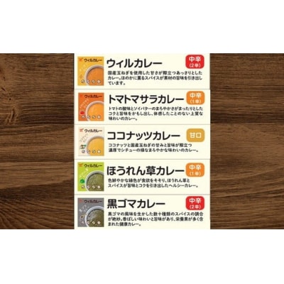 【定期便】5カ月間毎月届く!月替りウィルカレー20個入セット