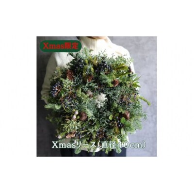 Xmas限定　クリスマスリース Φ40　花　インテリア　クリスマス　リース　ドライフラワー　おしゃれ