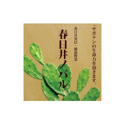 メキシコ生まれ春日井育ちの健康野菜 食べるサボテン「春日井ノパル」300g×2パック