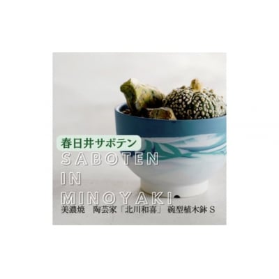 多治見市×春日井市コラボ 【美濃焼】 陶芸家「北川和喜」碗型植木鉢　S×春日井市の名店 後藤サボテン