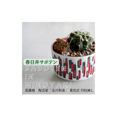 多治見市×春日井市コラボ【美濃焼】陶芸家「北川和喜」重色目 円柱鉢L×春日井市の名店 後藤サボテン