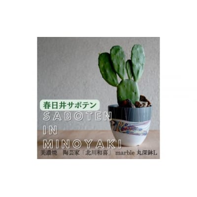 多治見市×春日井市コラボ【美濃焼】陶芸家「北川和喜」marble丸深鉢L×春日井市の名店後藤サボテン
