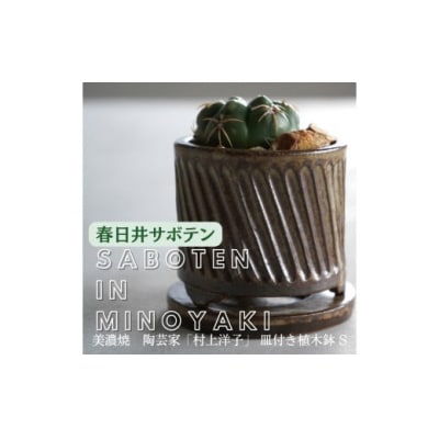 多治見市×春日井市コラボ【美濃焼】陶芸家「村上洋子」皿付き植木鉢S×春日井市の名店 後藤サボテン