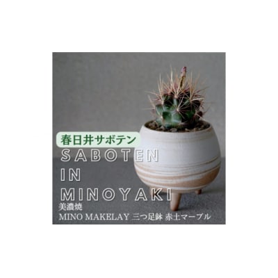 多治見市×春日井市コラボ【美濃焼】MINO MAKELAY三つ足鉢赤土マーブル×後藤サボテン