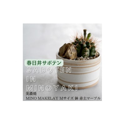 多治見市×春日井市コラボ【美濃焼】MINO MAKELAY Mサイズ鉢 赤土マーブル×後藤サボテン
