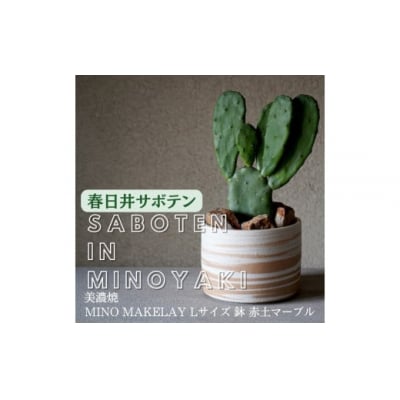 多治見市×春日井市コラボ【美濃焼】MINO MAKELAY Lサイズ鉢 赤土マーブル×後藤サボテン