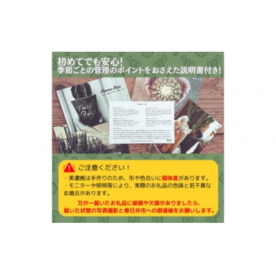 多治見市×春日井市コラボ【美濃焼】MINO MAKELAY Lサイズ鉢 赤土マーブル×後藤サボテン