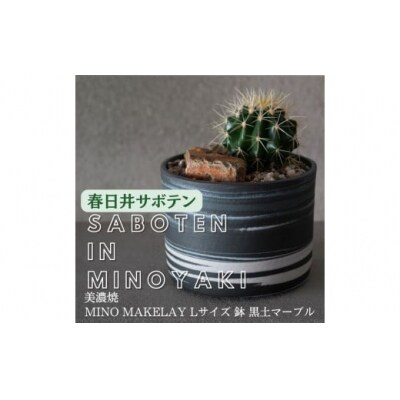 多治見市×春日井市コラボ【美濃焼】MINO MAKELAY Lサイズ鉢 黒土マーブル×後藤サボテン