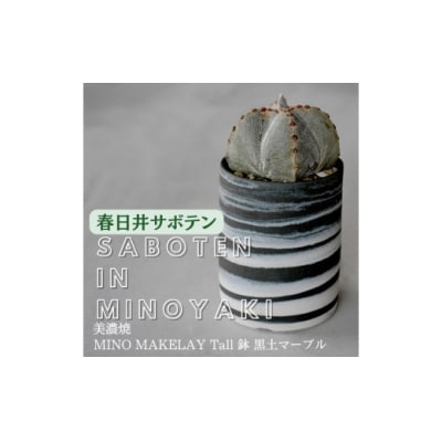 多治見市×春日井市コラボ【美濃焼】MINO MAKELAY Tall鉢 黒土マーブル×後藤サボテン