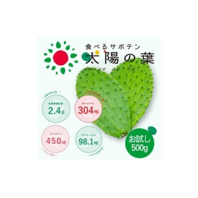 【期間限定】食べるサボテン 太陽の葉 フレッシュリーフ(新芽限定・お試し500g)