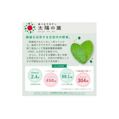 【期間限定】食べるサボテン 太陽の葉 フレッシュリーフ(新芽限定・お試し500g)