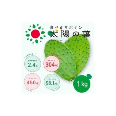 食べるサボテン 太陽の葉 フレッシュリーフ食用サボテン(1kg)