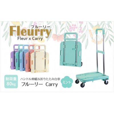 ハンドルが伸縮する台車「フルーリーCarry」　カラー:ミント(グリーン)