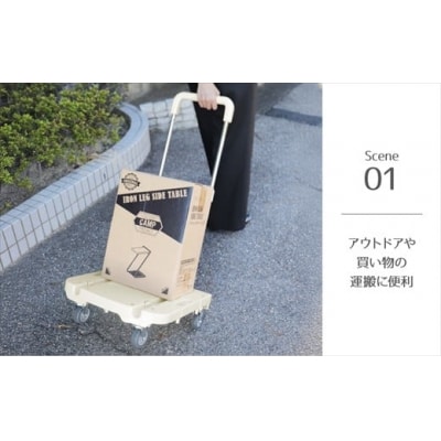 ハンドルが伸縮する台車「フルーリーCarry」　カラー:ミント(グリーン)