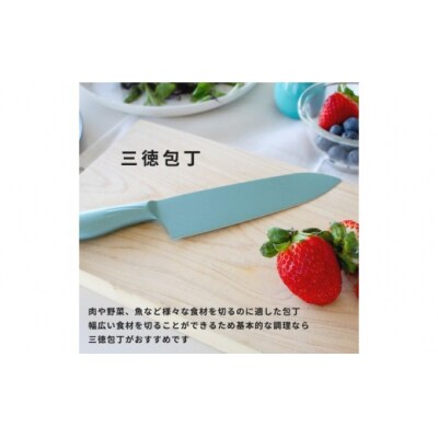 【深緑(シンリョク)】オールステンレスのカラー包丁「haleiro(ハレイロ)」サントク