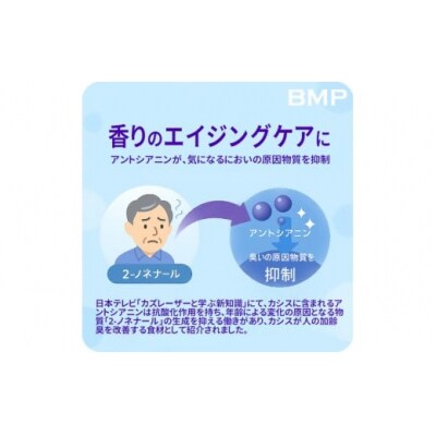 BMP カシスパウダー 3kg(100g×30袋)(カシス濃縮果汁粉末)