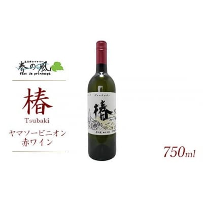 t䃏Ci-t̕ ()}\[rjIԃC 750ml