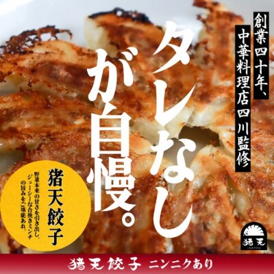 【猪天餃子(ニンニクあり)】春日井の中華料理店四川監修タレなし生餃子「猪天餃子」