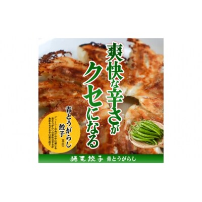 【青とうがらし餃子】春日井の中華料理店四川監修タレなし生餃子「猪天餃子」