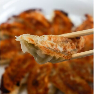 【猪天しそ餃子】春日井の中華料理店四川監修タレなし生餃子「猪天餃子」