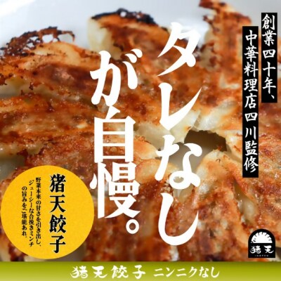 【猪天餃子(ニンニクなし)】【12ヶ月定期便】春日井の中華料理店四川監修タレなし生餃子「猪天餃子」 
