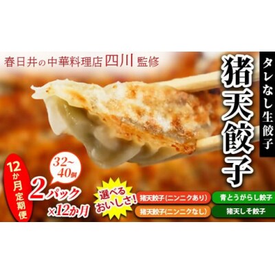 【青とうがらし餃子】【12ヶ月定期便】春日井の中華料理店四川監修タレなし生餃子「猪天餃子」 12ヶ月