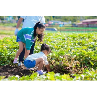 手ぶらで気軽に「農」に触れることができる! あい農パーク春日井施設利用券【3,000円分】