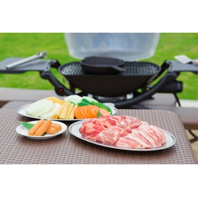 手ぶらで気軽に「農」に触れることができる! あい農パーク春日井施設利用券【9,000円分】