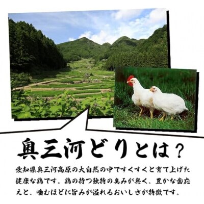 【調理済】奥三河どりの串焼き ハツ 20本　味付:タレ