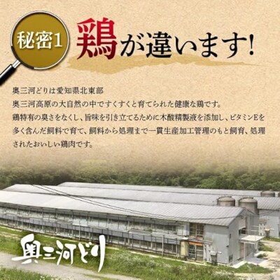 【調理済】奥三河どりの串焼き 春日井セット 20本(サボマ5本入)　味付:塩