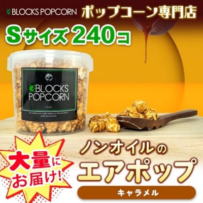 ポップコーン専門店 大量にお届け ノンオイルのエアポップ Sサイズ 240個　味:キャラメル