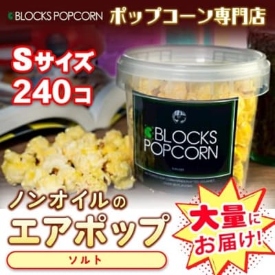 ポップコーン専門店 大量にお届け ノンオイルのエアポップ Sサイズ 240個　味:ソルト【塩味】